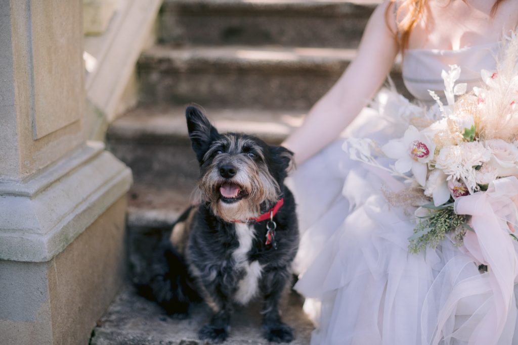 cator woolford gardens wedding photographer