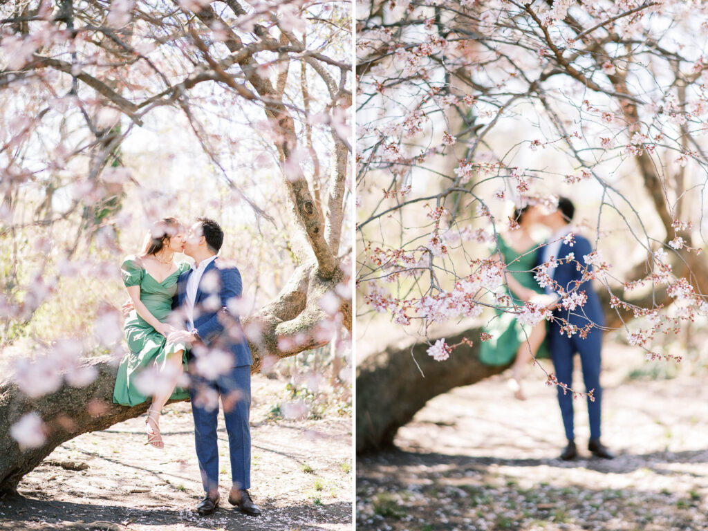 central park engagement photographer