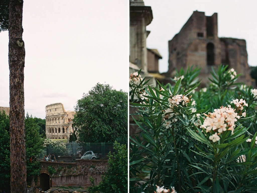 Italy travel photography; View of the Colosseum in Rome
