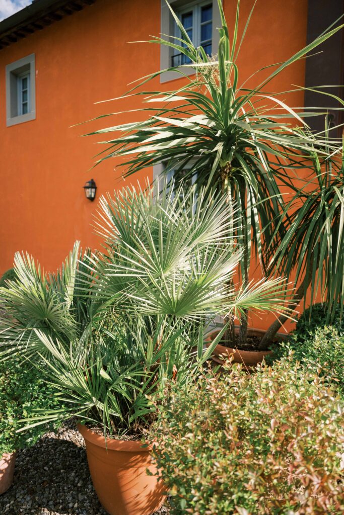 wedding welcome party photographed by Danielle Heinson Photography, destination wedding photography. Lucca, Italy. Tuscany weddings