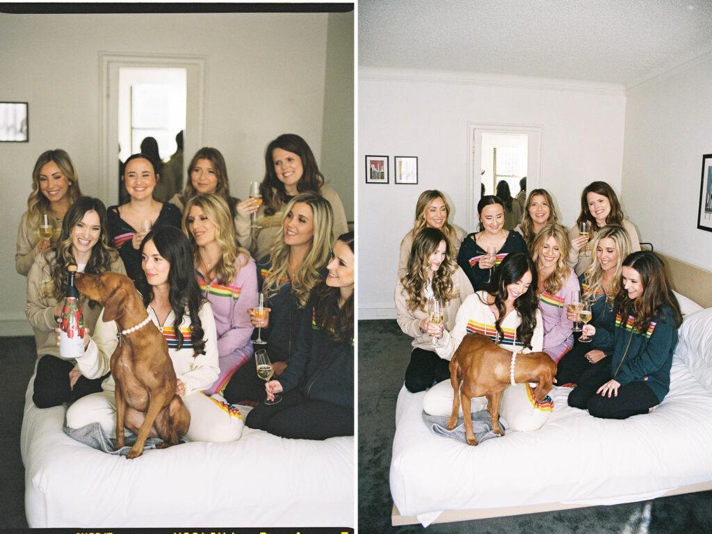 pearl collar for dog on wedding day; wedding accessories for dog