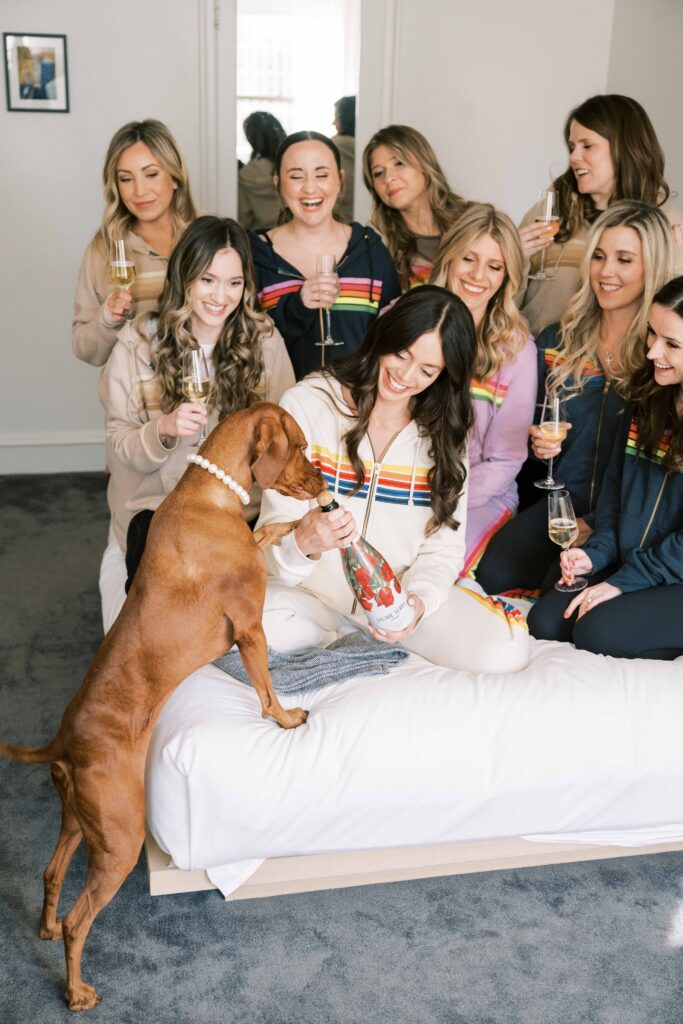 pearl collar for dog on wedding day; wedding accessories for dog