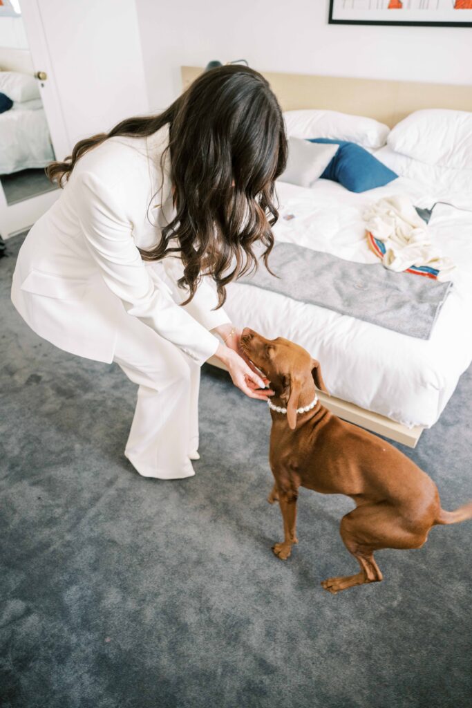 first look with dog on wedding day