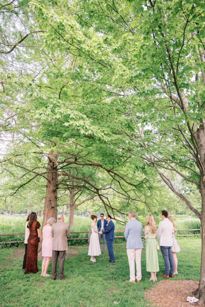 Chicago Jewish park elopement with family