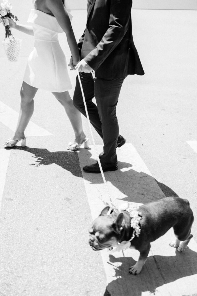 black and white crosswalk wedding portraits with dog