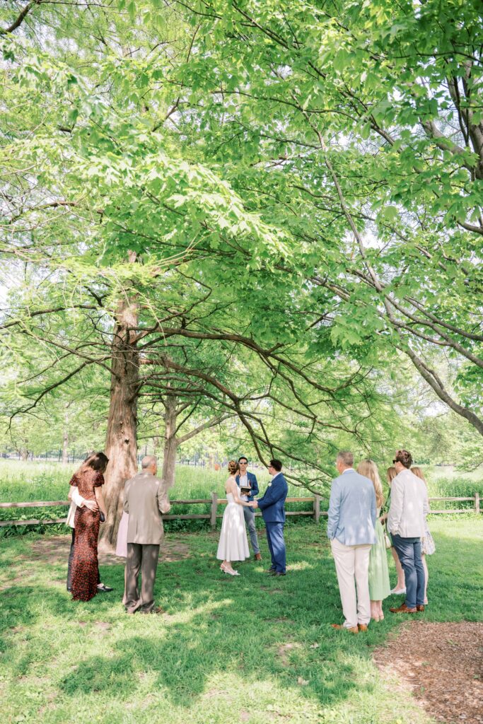 Chicago park elopement with family