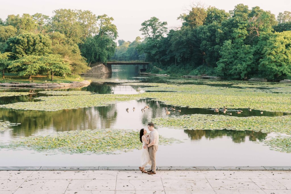 duck ponds in Chicago 