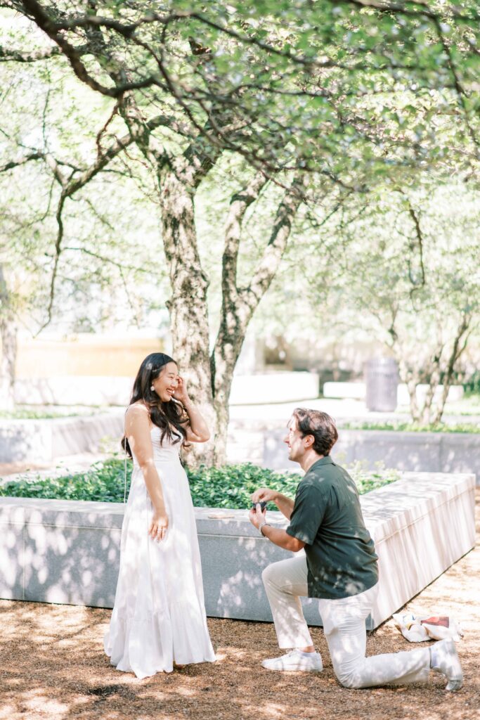 surprise proposal in the Art Institute of Chicago gardens