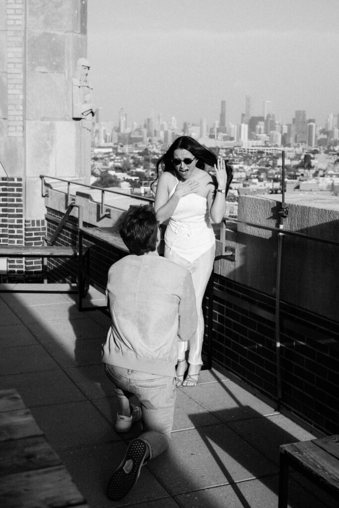 Chicago rooftop proposal at The Robey