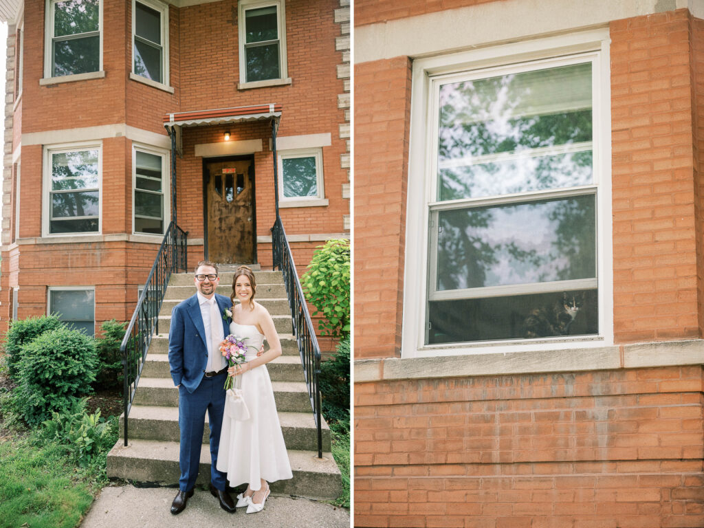 spying cat; newlywed portraits