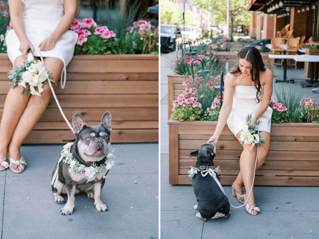 dog flower girl ring bearer for wedding