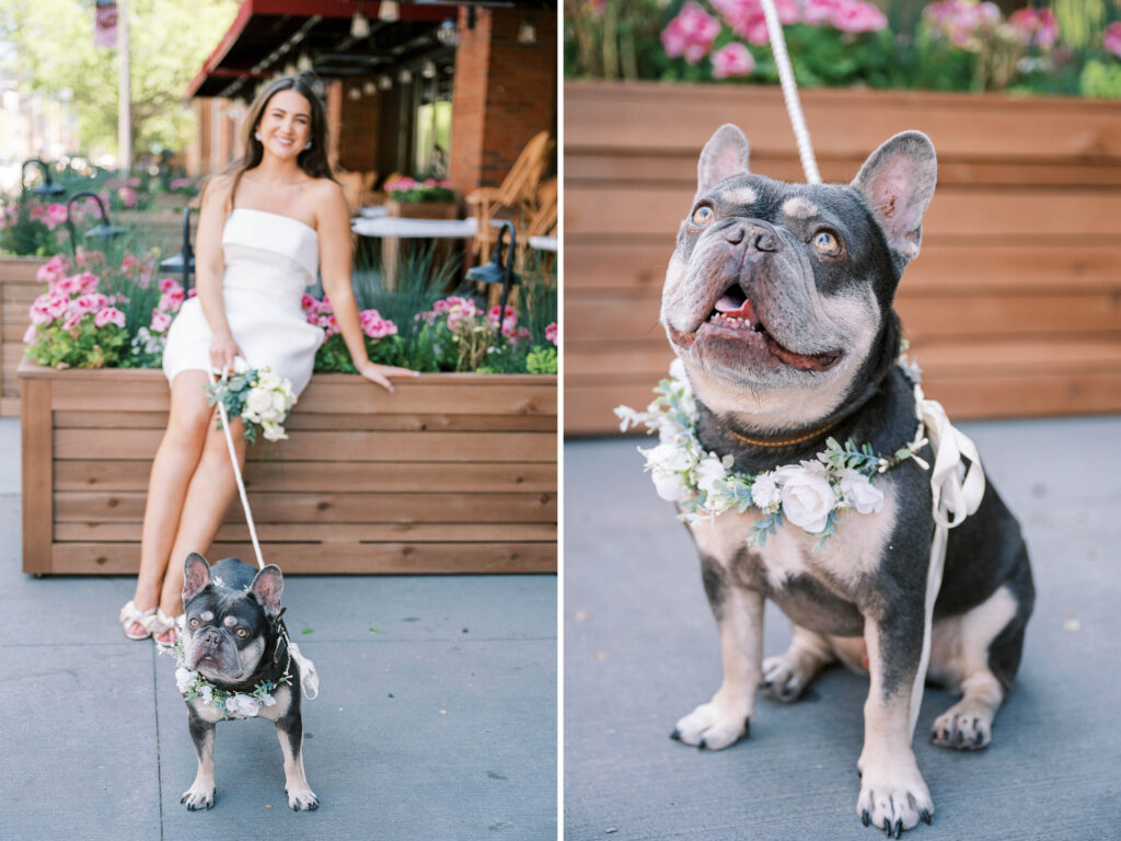 photos of dogs in weddings