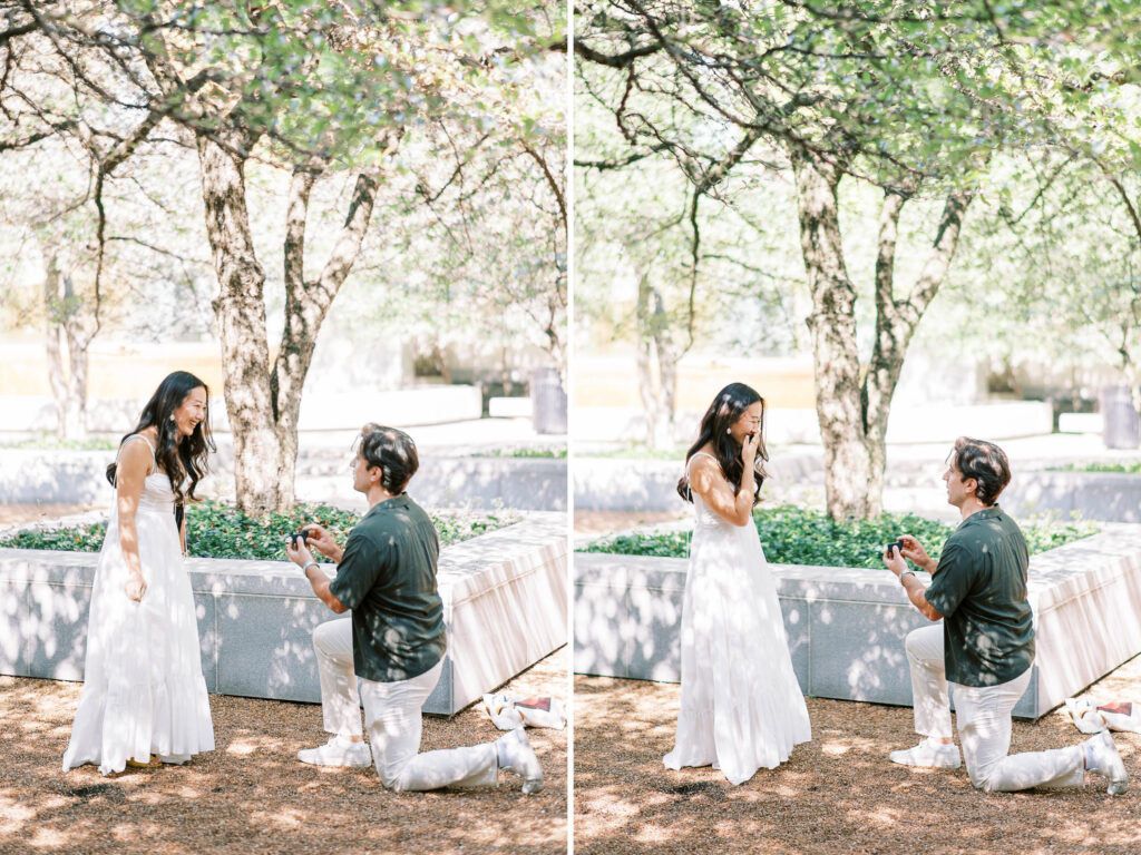 luxury Chicago proposal