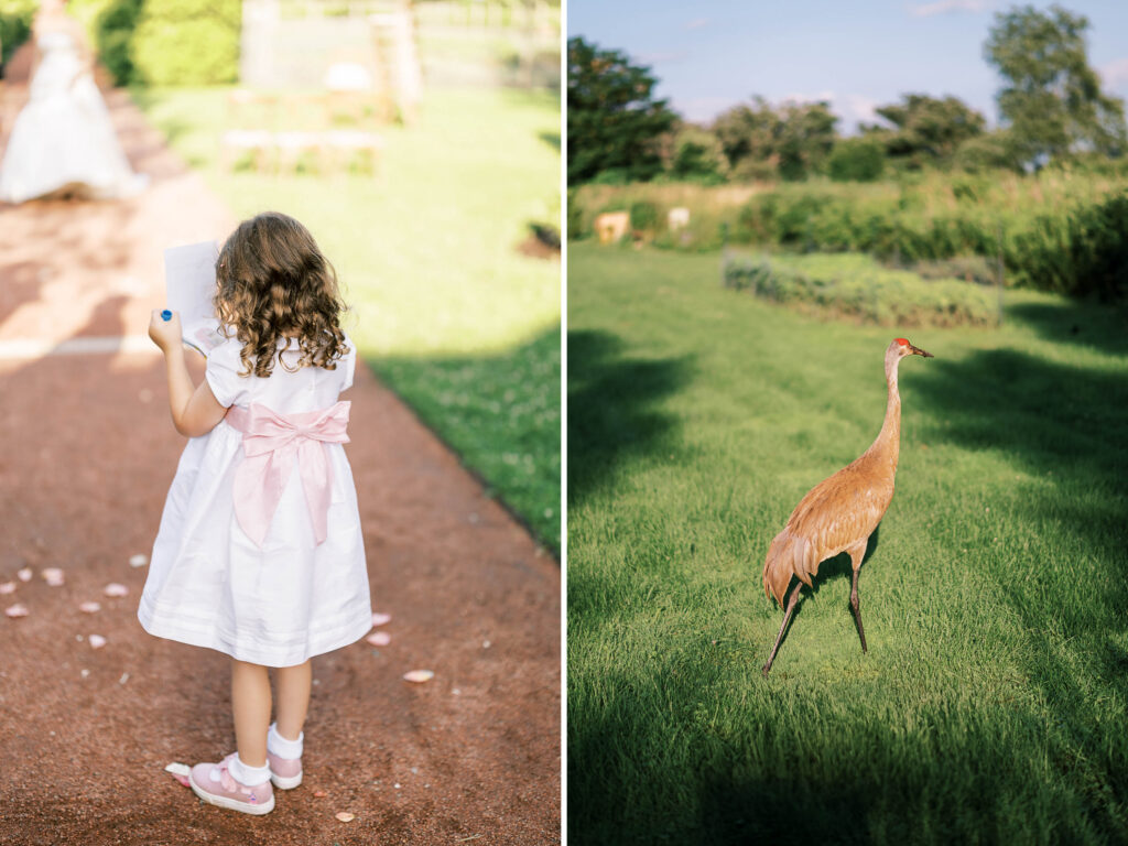 Elawa Farm wedding