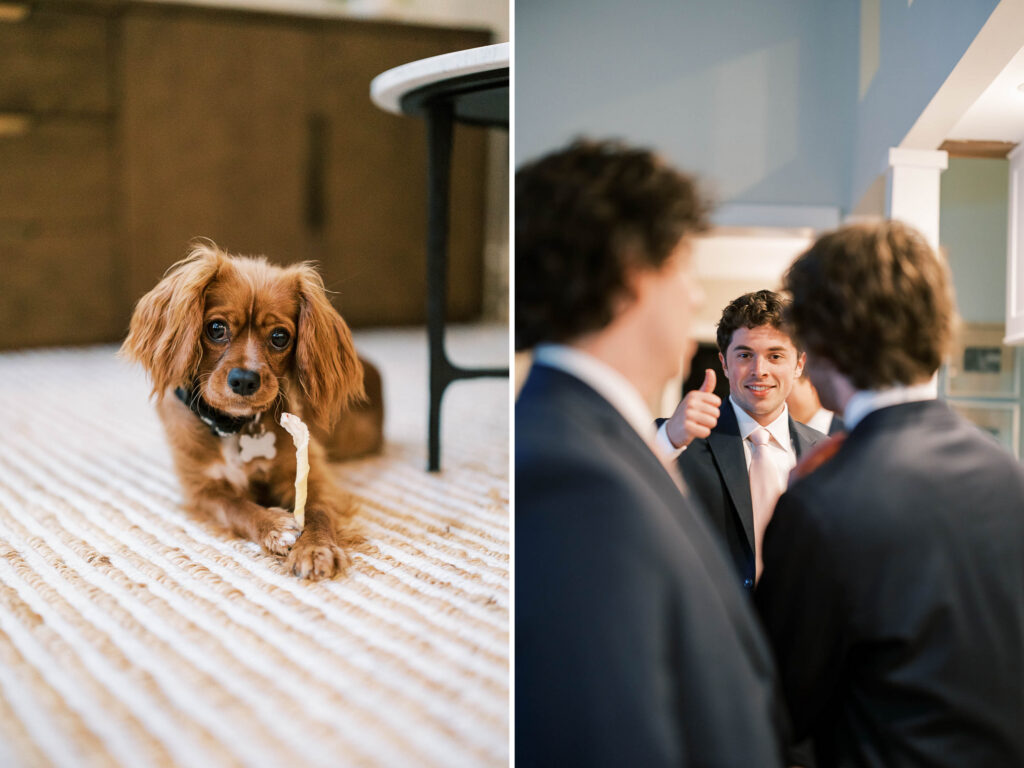 photos of dogs on wedding day