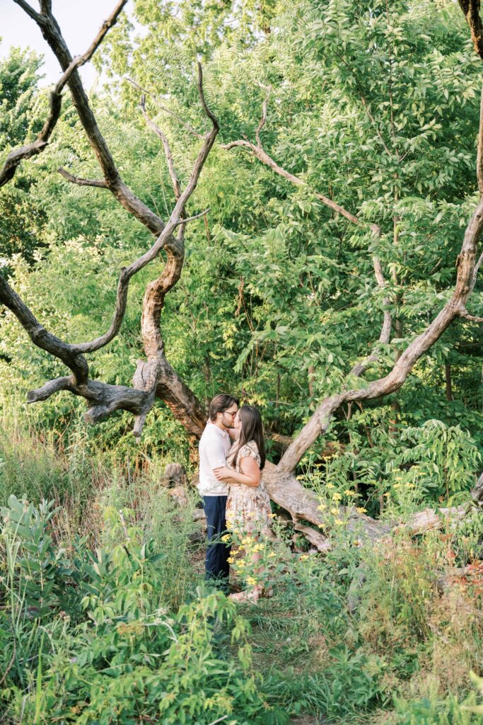 Lincoln Park Zoo proposal photography