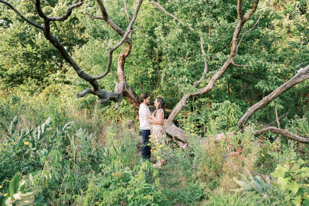 hiking trail proposal photography