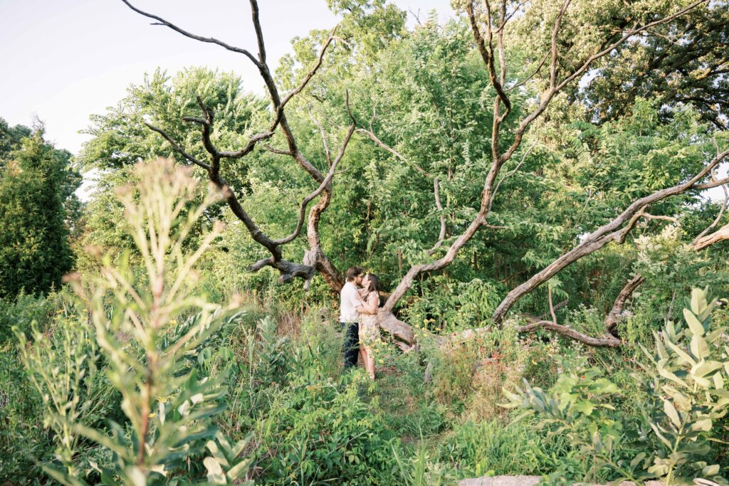 surprise proposal at the Lincoln Park Zoo and Lincoln Park Conservatory